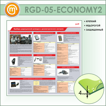        (RGD-05-ECONOMY2)